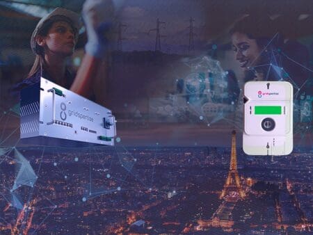 Grid digitalization and smart meters the keys for European grids future