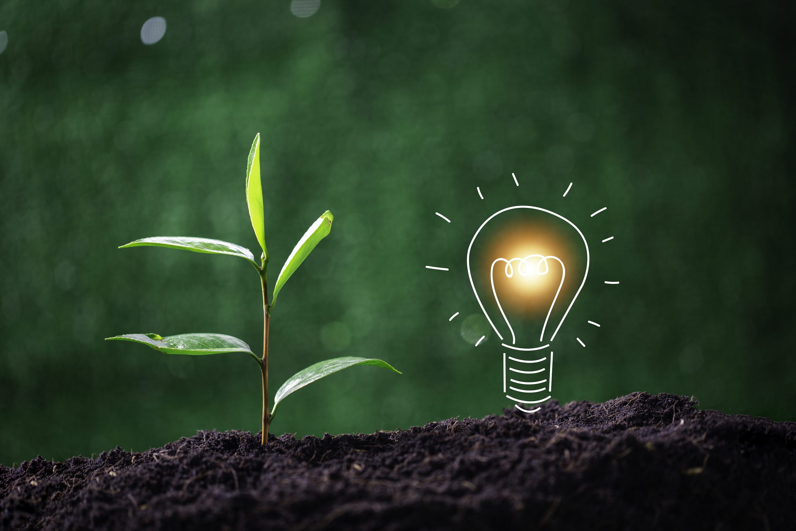 Schneider Electric partners with ArcelorMittal on low-carbon steel