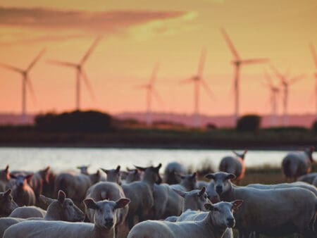 UK Power Networks releases open data on capacity visibility