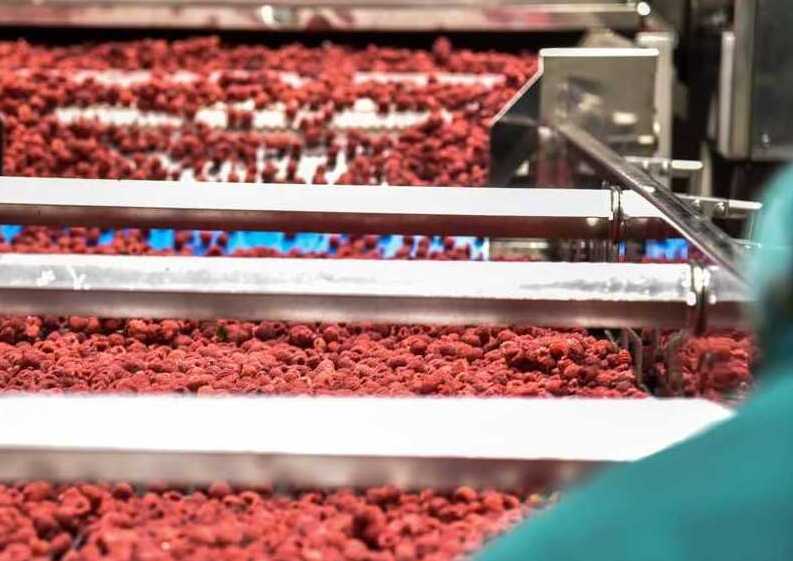 Döhler welcomes Frikos to expand and diversify portfolio