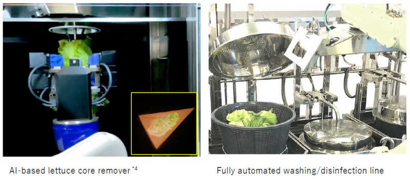 Techno Fresh processing method extends shelf life of cut lettuce