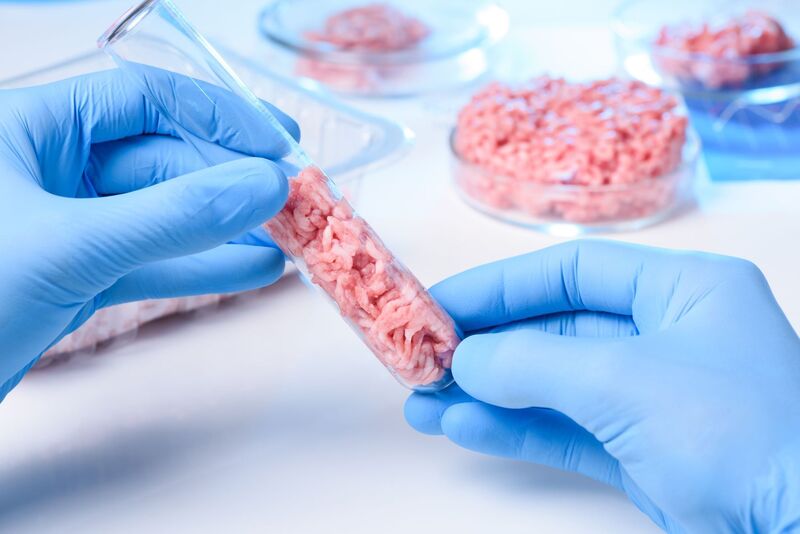 EU emerging as the next Silicon Valley for cultivated meat innovation
