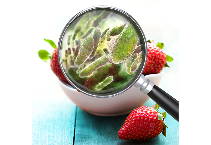 Food industry urged to lay robust foundations for technology integration to enhance food safety