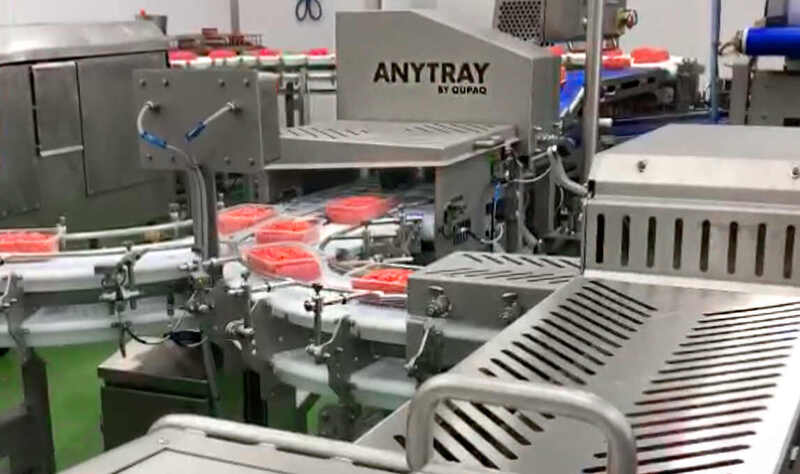 One line does the work of two as Qupaq denester improves meat-packing efficiency One line does the work of two as Qupaq denester improves meat-packing efficiency