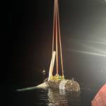 Tidal Energy Turbine Comes Ashore in Japan