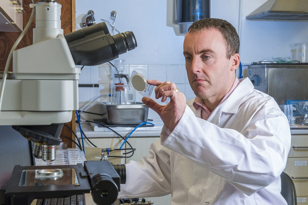 30th Anniversary for MecWash Systems! 30th Anniversary for MecWash Systems!