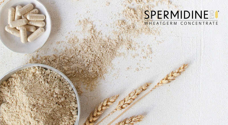 Good Mills Innovation uncovers fresh avenues for promoting healthy aging