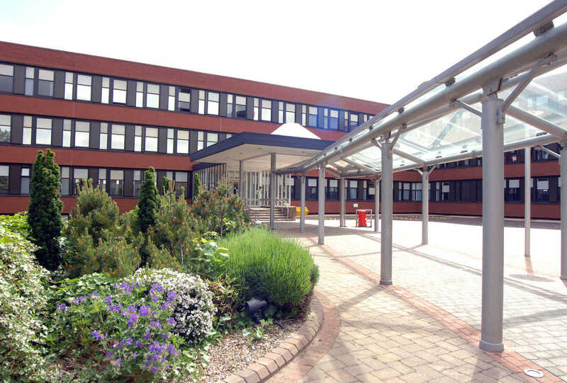 Half a million-fund awarded to North East innovators to help bring lab grown meat to the masses