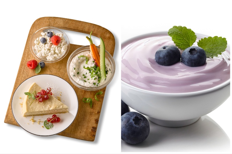 Planteneers offers plant-based alternatives for fermented milk products Planteneers offers plant-based alternatives for fermented milk products