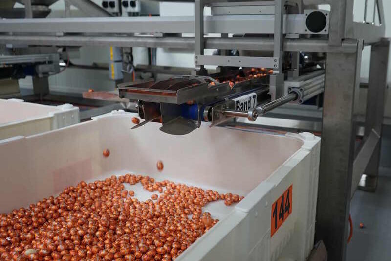 Festo’s electric drive automation craft Easter egg flavour pairings for Mondelez