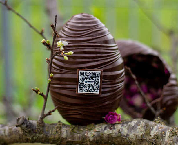 Italian Foodtech gears up to bolster sustainability within the cocoa value chain