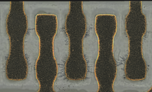 Magnalytix to Tout Industry-leading Testing Services at APEX 2024