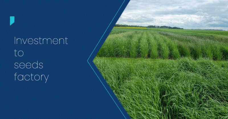 AB Akola Group to construct €9.5m seed factory AB Akola Group to construct €9.5m seed factory