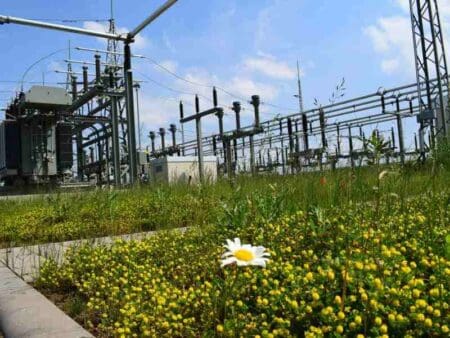 EIB finances grid upgrades across Germany EIB finances grid upgrades across Germany