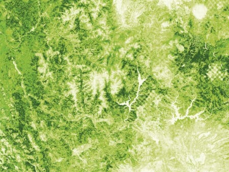 Pacific Gas & Electric taps satellite data for tree management Pacific Gas & Electric taps satellite data for tree management