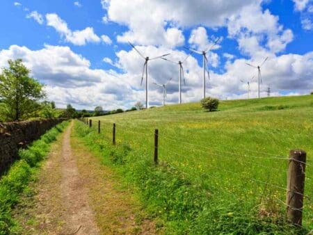 Tech Talk | Locational pricing as a possible model for Britain’s wholesale market