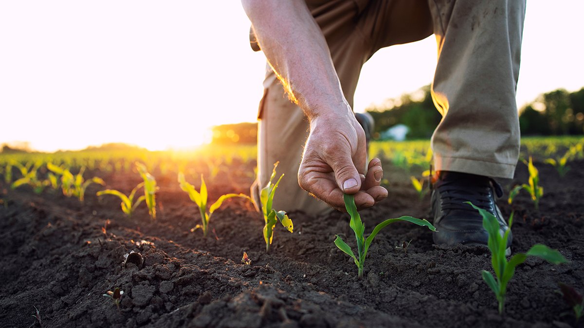 IoT in environmental monitoring crucial for understanding climate IoT in environmental monitoring crucial for understanding climate