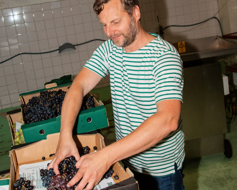 Rotterdam entrepreneur turns waste into wine Rotterdam entrepreneur turns waste into wine