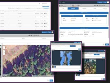 Californian vegetation experts have improved powerline inspections with satellites and AI