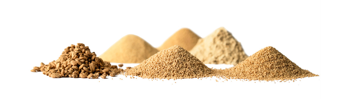 Circular innovation made easy: olive stone powders as versatile packaging additives Circular innovation made easy: olive stone powders as versatile packaging additives