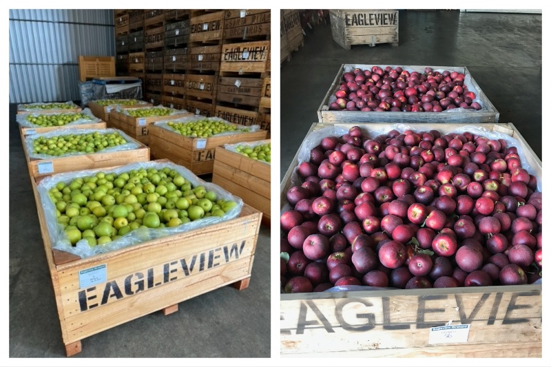 Oxair’s PSA nitrogen technology prolongs the freshness of fruit