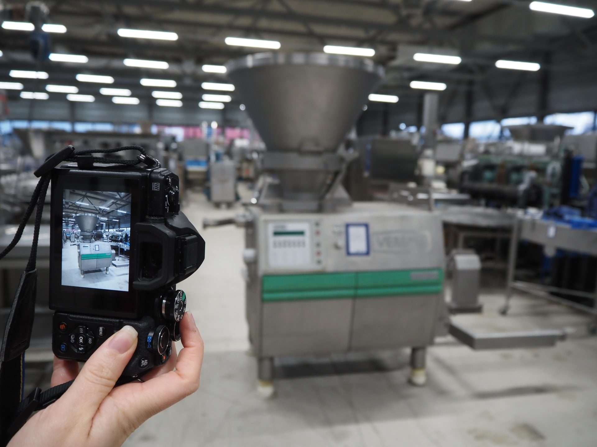 How to successfully manage major online auctions