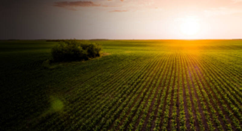 Tate & Lyle’s renewable electricity agreement reduces carbon footprint of sucralose production