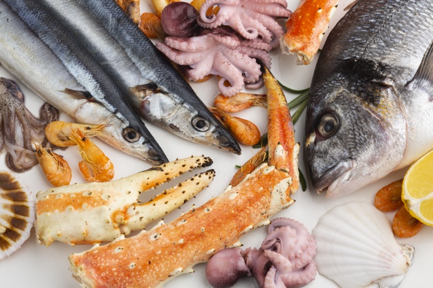 Ground-breaking insurance incentive introduced for seafood traceability