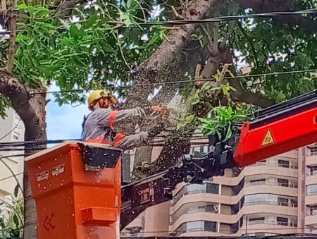 Cemig harnesses georeferencing for tree prunings