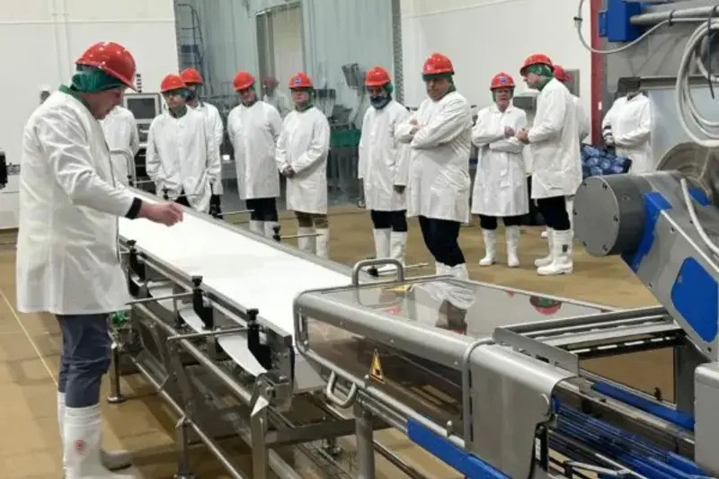 DB Foods increases production capacity to meet rise in retail partnerships