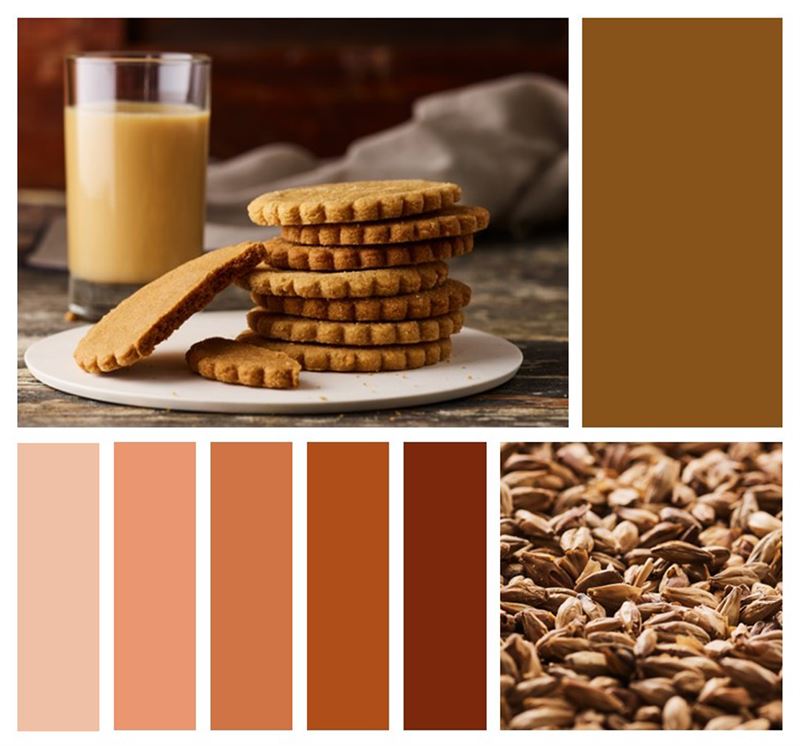 Colour trends for 2025: take in Oterra’s dazzling array of hues