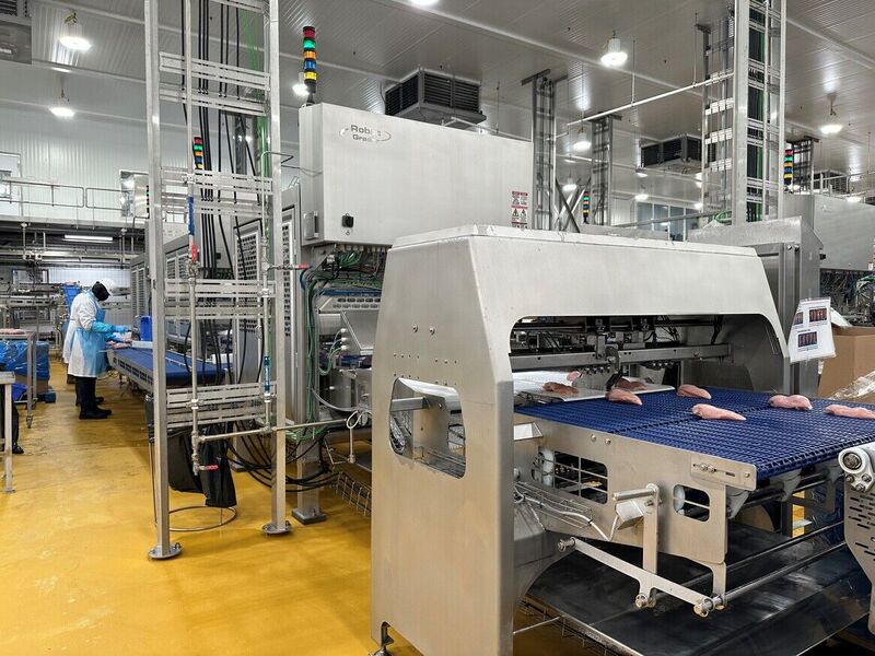 Ishida’s 12 Flex Grader Systems bring efficiencies to 2m poultry pressing plant