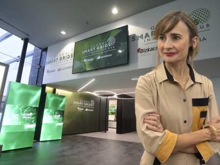 The missing piece of the grid puzzle The missing piece of the grid puzzle