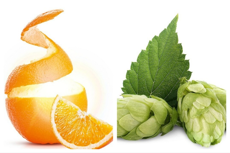 Isobionics introduces two novel biotech flavours 