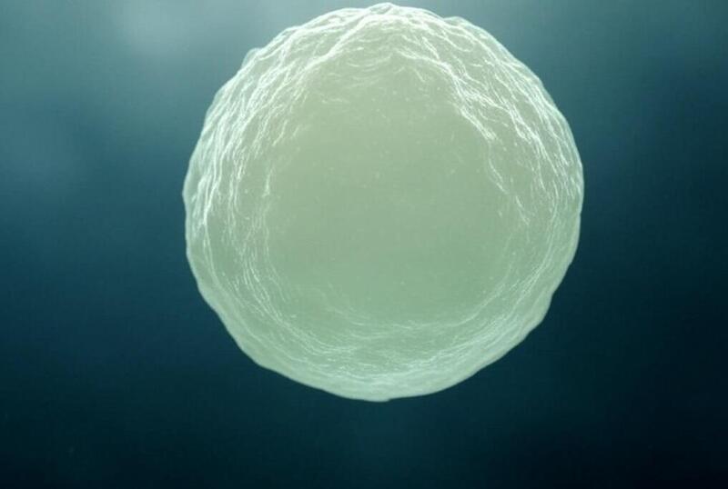 Researchers explore how to transform whey into a sustainable protein source