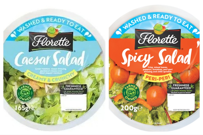 Florette introduces more choice to fresh salads - Industrial News
