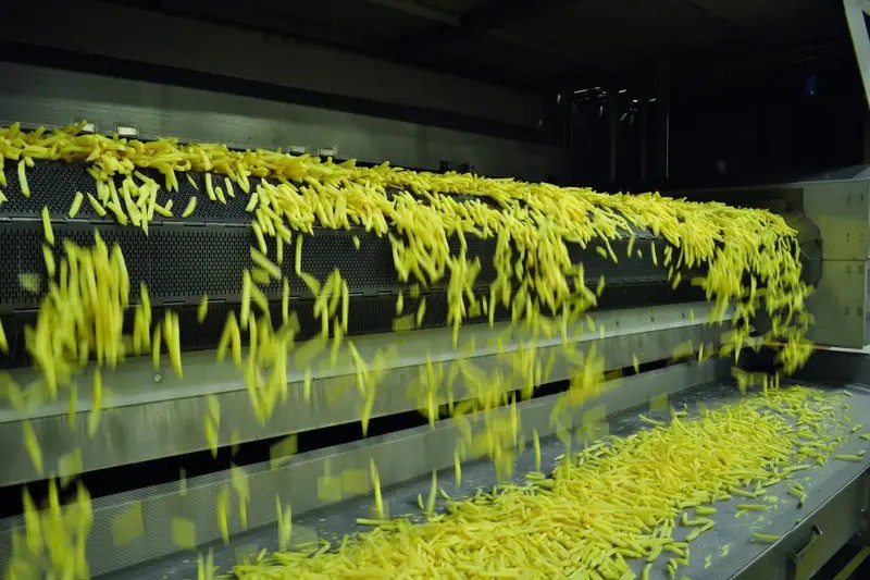 Lutosa invests over €200 million