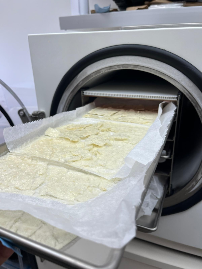 PoLoPo completes plans for a functional protein extraction pilot production plant