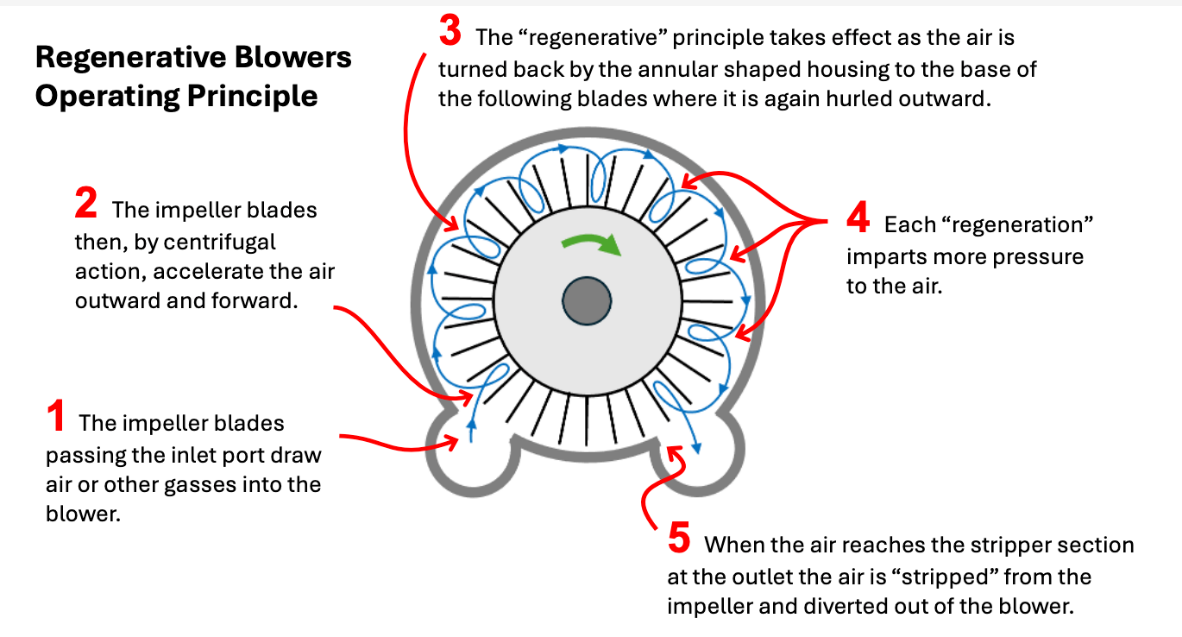 Regenerative blowers for biogas digesters