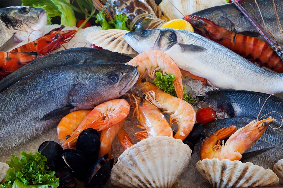 Seafish calls on UK seafood procesors to contribute to survey