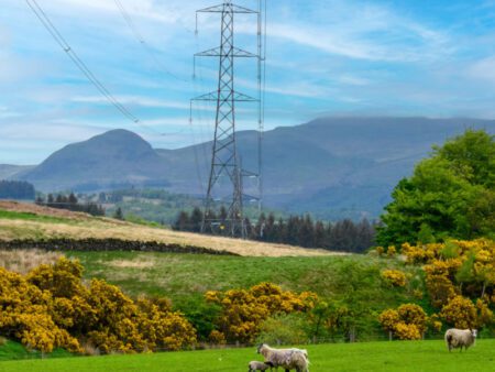 SP Energy Networks taps Vodafone for network communications in Scotland SP Energy Networks taps Vodafone for network communications in Scotland