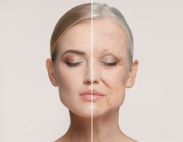 Aging skin buckles under pressure leading to wrinkles