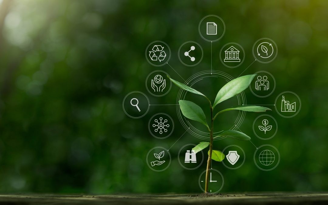 Epson retains EcoVadis platinum sustainability rating