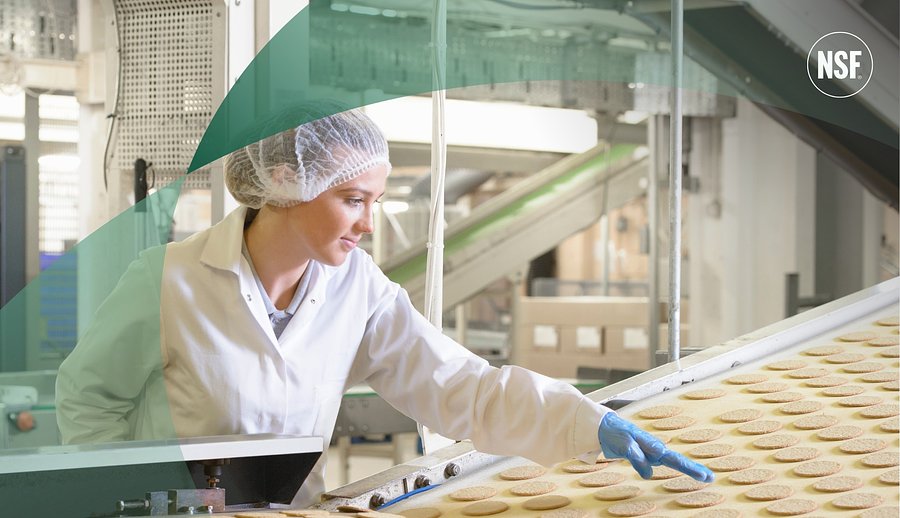 NSF launches MOAH-free certification programme for food industry materials