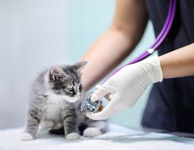 A 9-point checklist to improve AI-based image analysis in pathology A 9-point checklist to improve AI-based image analysis in pathology