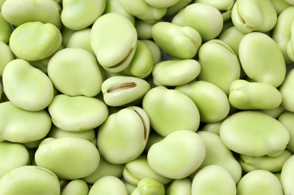Burcon announces availability of high-purity fava protein isolate