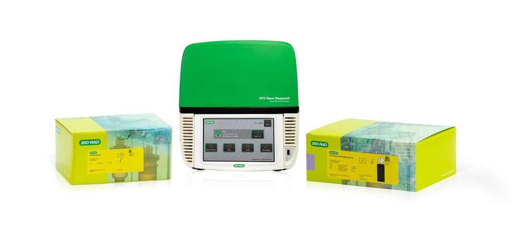 Ensure safety with Bio-Rad’s salmonella detection kit