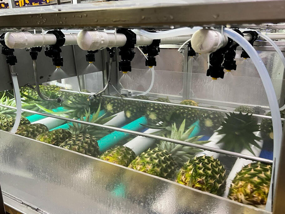 JBT Marel’s smart wax coating technology slashes product waste JBT Marel’s smart wax coating technology slashes product waste