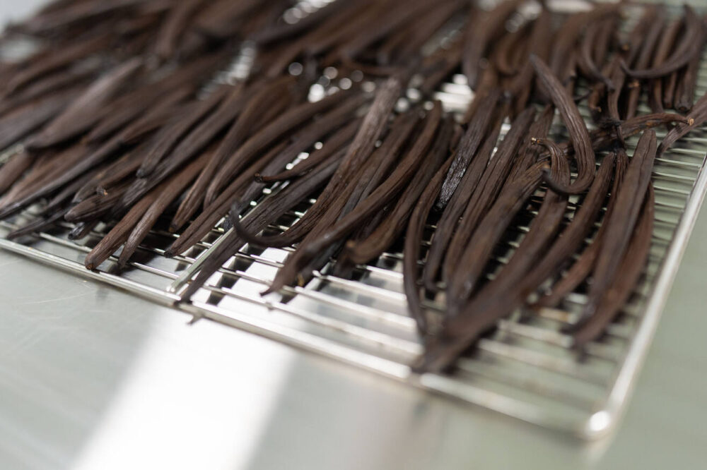 Vanilla Farms breaks new ground with Scotland’s first vanilla harvest