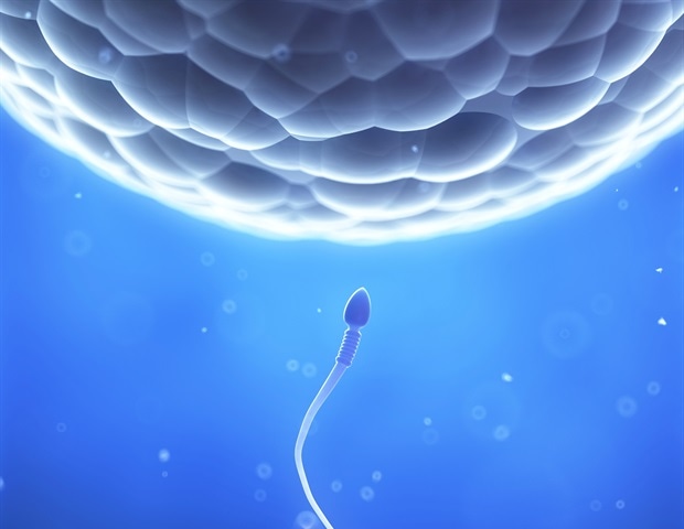 Cornell researchers develop device to simplify fertility treatment